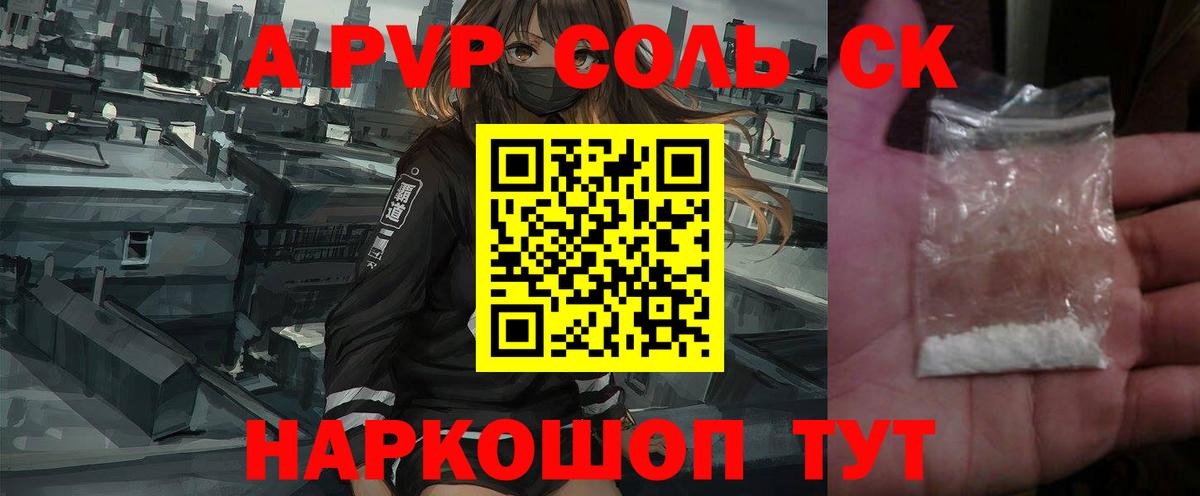 A PVP СК Солнечногорск
